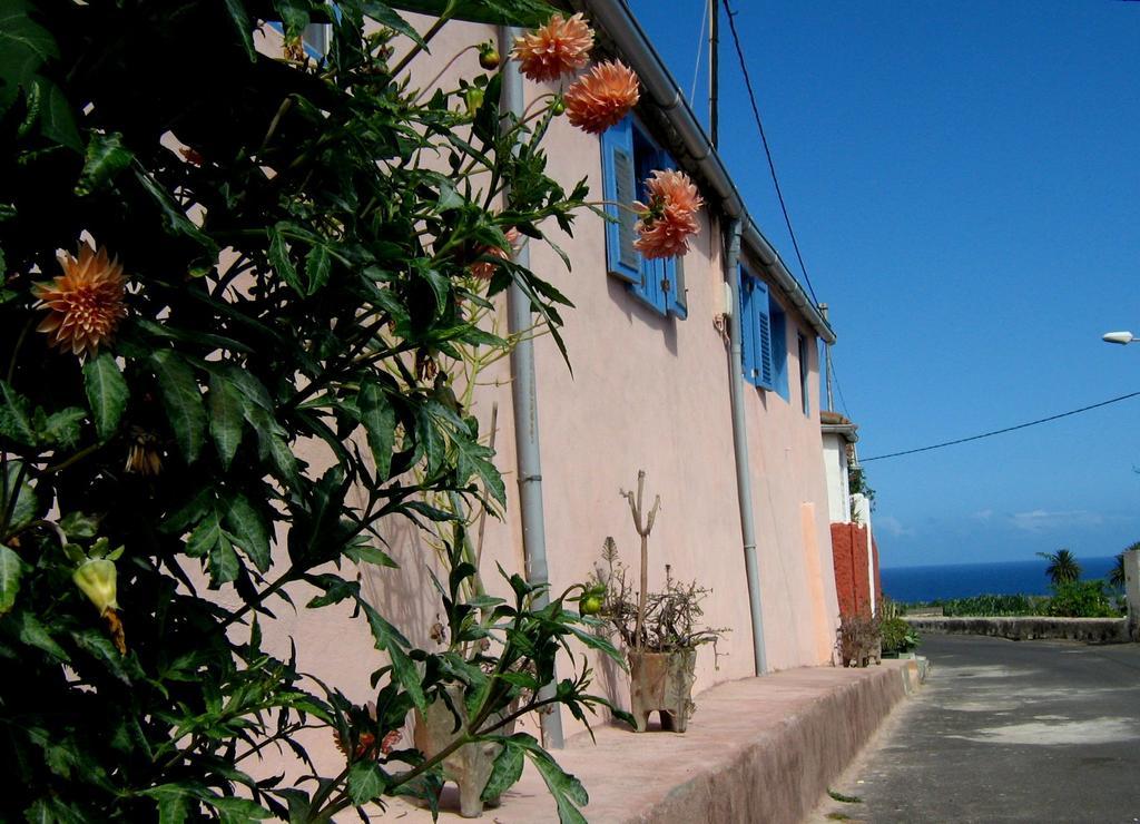 Casa Coronela Villa Garachico  Dış mekan fotoğraf